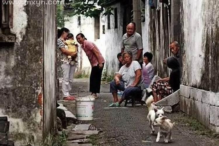 生肖羊2025年运势 属羊2025年运势及运程