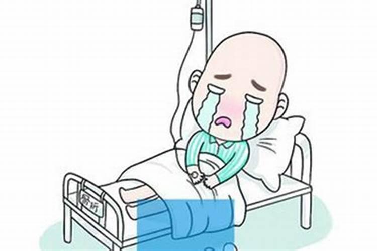 虎年属羊的是什么意思