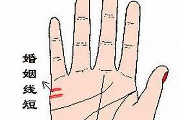 12生肖谁最有母爱