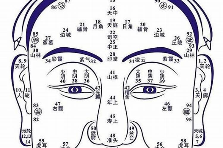 教你从面相看出运势图解