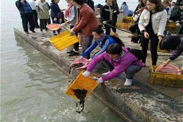 冲太岁会有什么灾冲太岁一定是坏事吗？