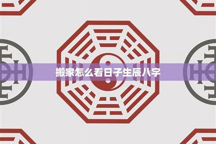 什么长相最旺财运女人呢