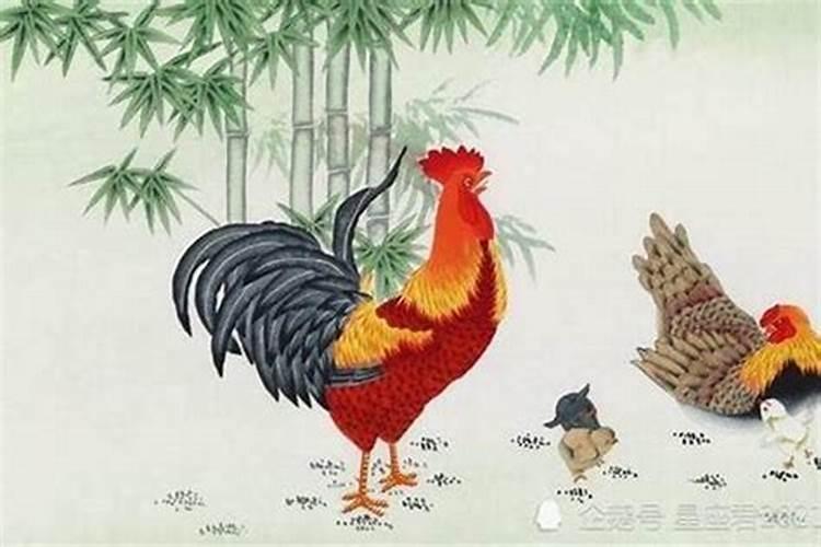 1969年属鸡的每个月运势,1969年属鸡每月运势