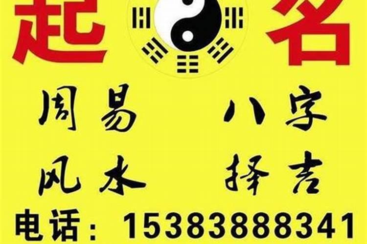 算命说命中有金鱼金矿是什么意思啊？？