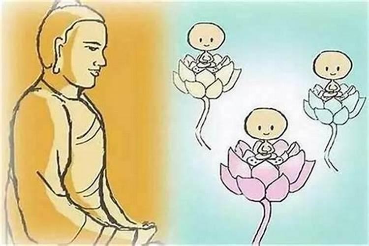 本命年的人是不是运气不好