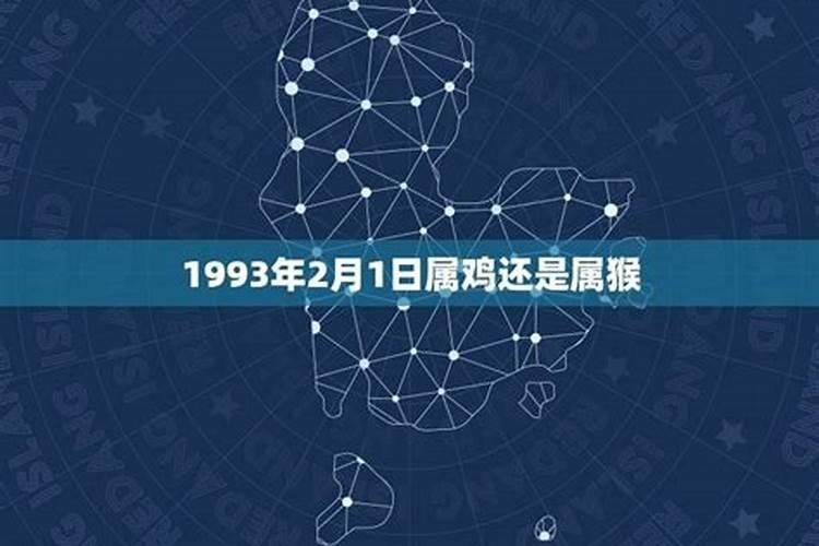 1993年1月23号下午三点多生,女生应该找个什么属相的对象？