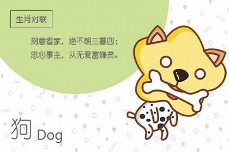 男狗女狗千万别在一起狗女狗在一起合婚吗