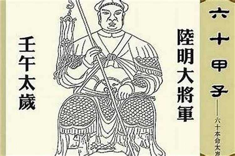 壬午运(吉20182027)什么意思？