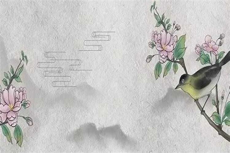 我是87年立春当天,不到立春时间出生属什么