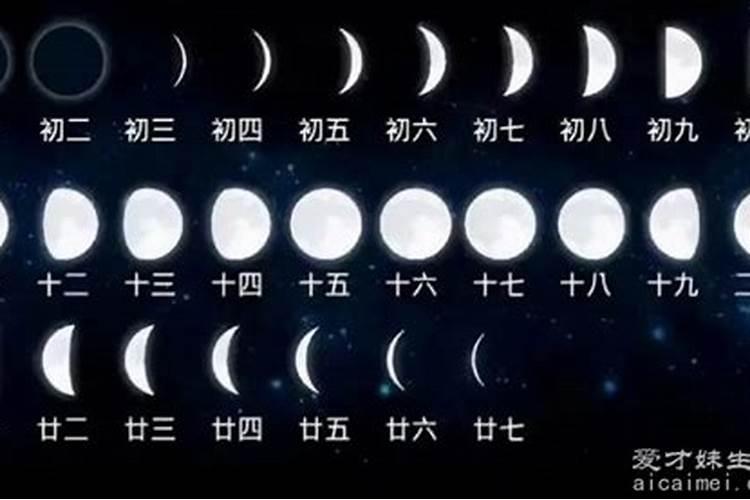 孕妇梦见猪好不好？