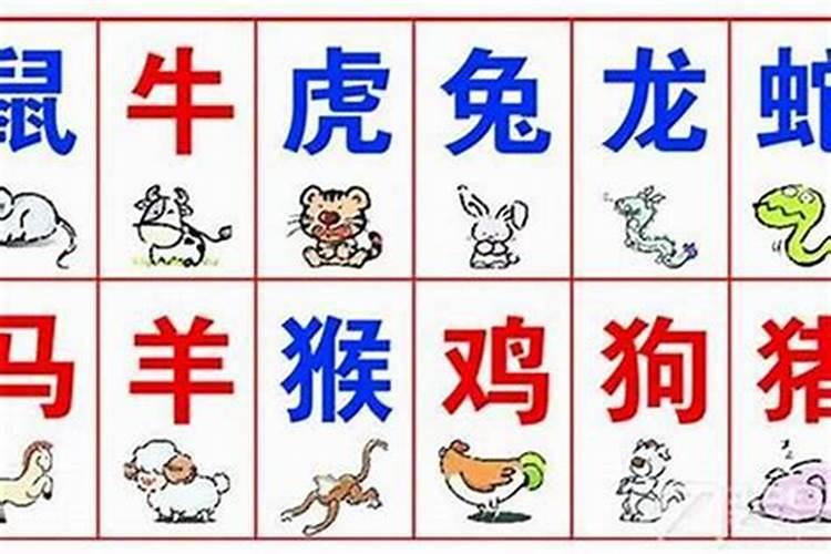 从八字格局如何来看个人才华？