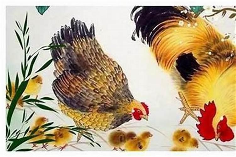 腊月猪命苦 属猪十二月出生的命运