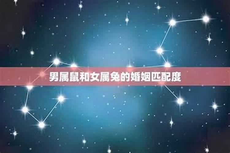 1994腊月属狗的女孩什么命,属狗的几月出生更好