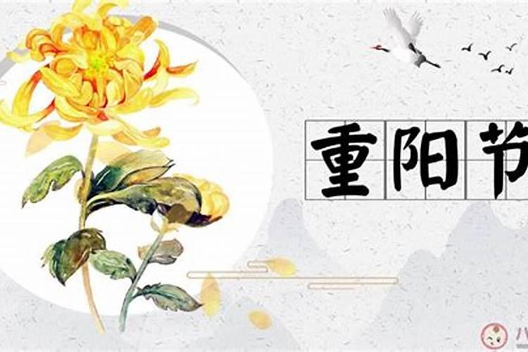 梦到别人送我花是什么预兆？