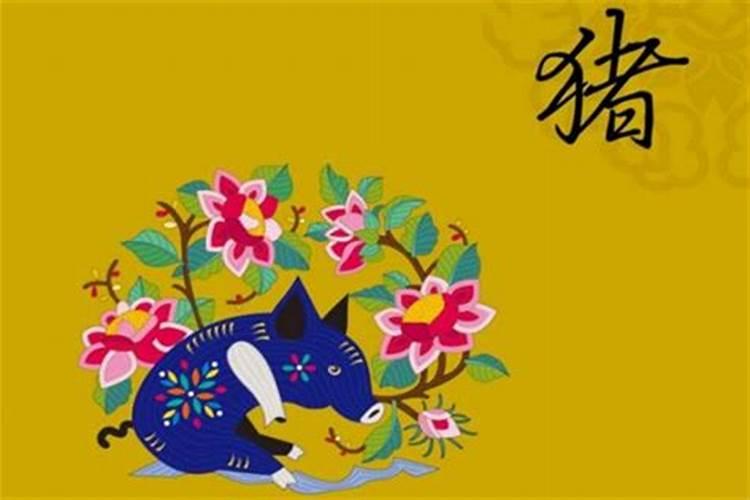 生肖猪1995年2025年运势如何 生肖猪1995年2025年全年运势