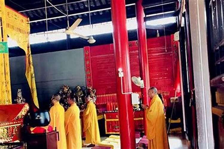四九年属什么生肖