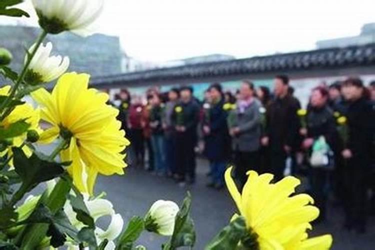 梦见死去的妈妈又活过来了