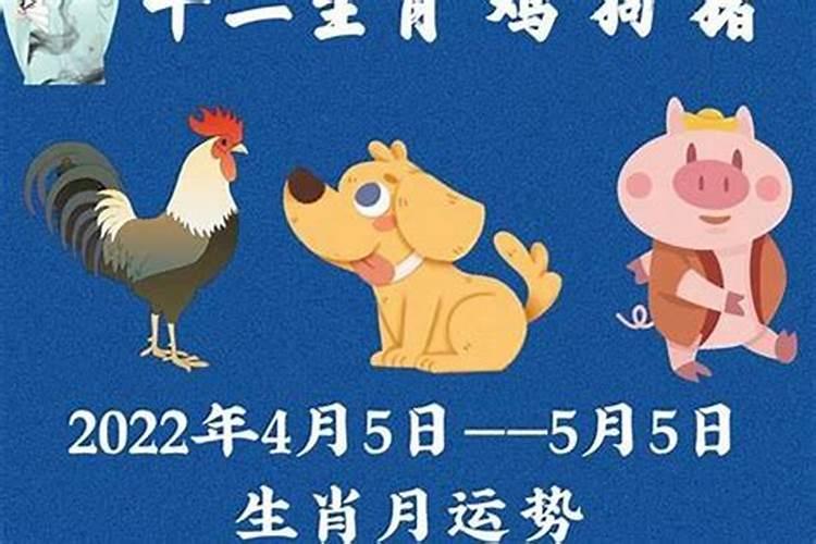 女孩冬至出生有说法