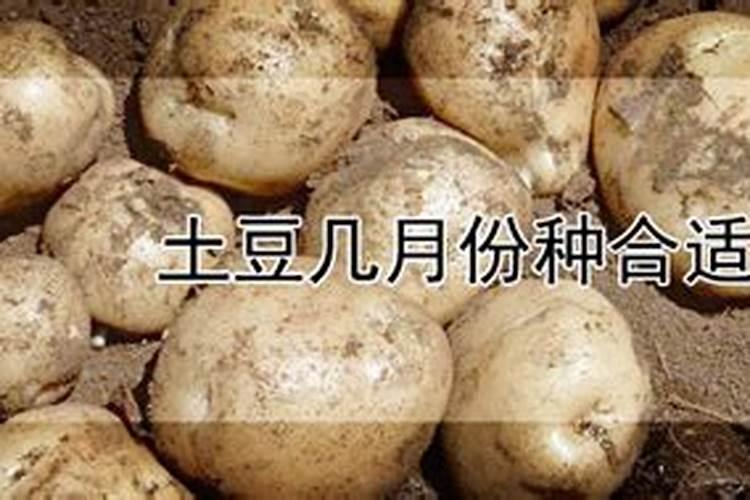 为什么除夕夜看不到月亮？