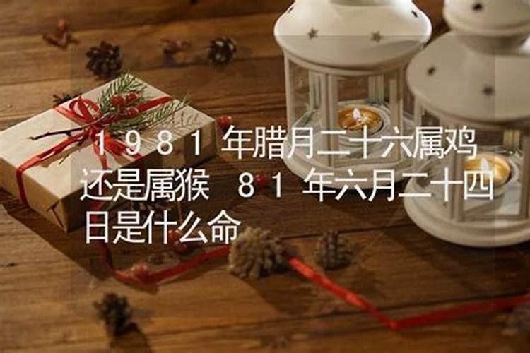 1981年阳历十二月二十九日出生的命运如何