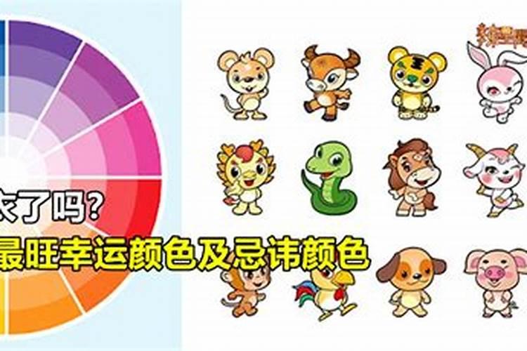 八字如何查太岁