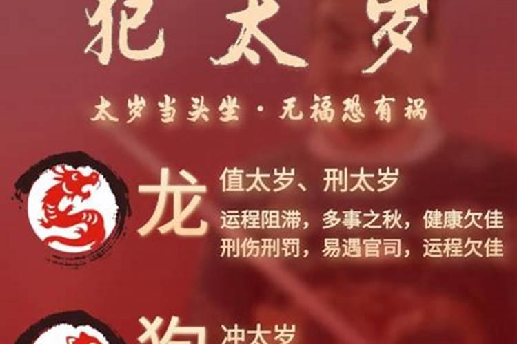 属狗和什么属相合财