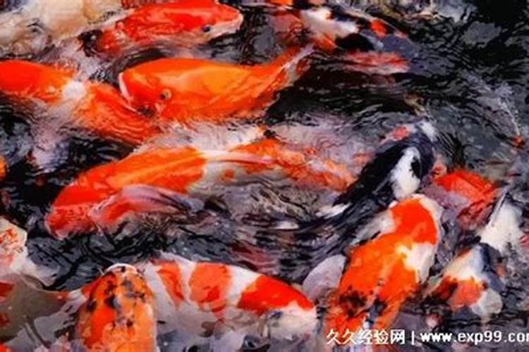 八字算命测一辈子有几段婚姻