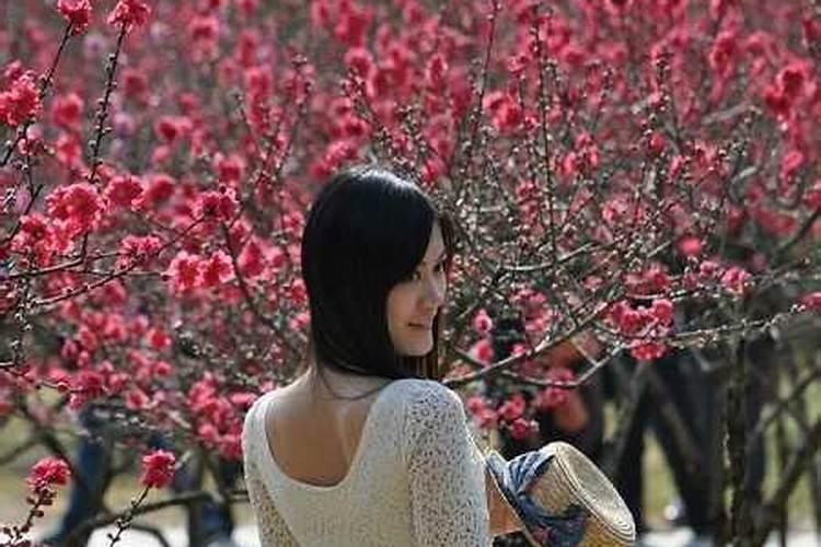 桃花煞是什么意思