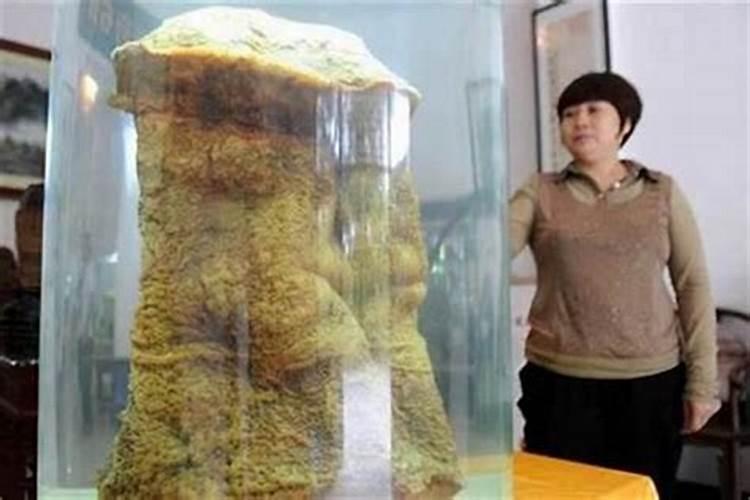 明年虎宝宝取什么名字好