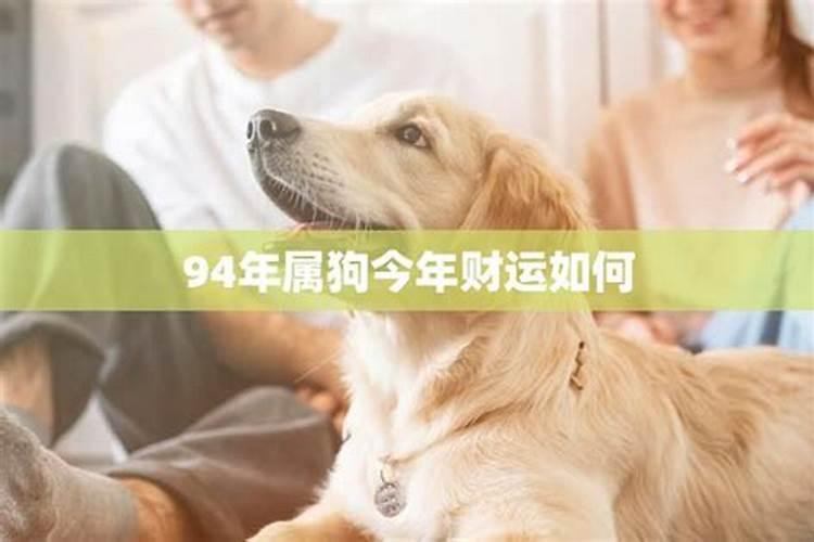 2025属狗人全年运势详解