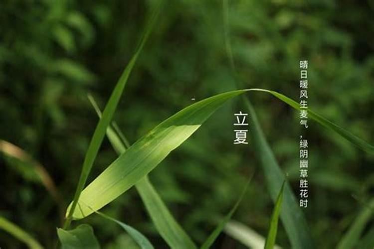 梦见床上睡了不认识的人的预兆