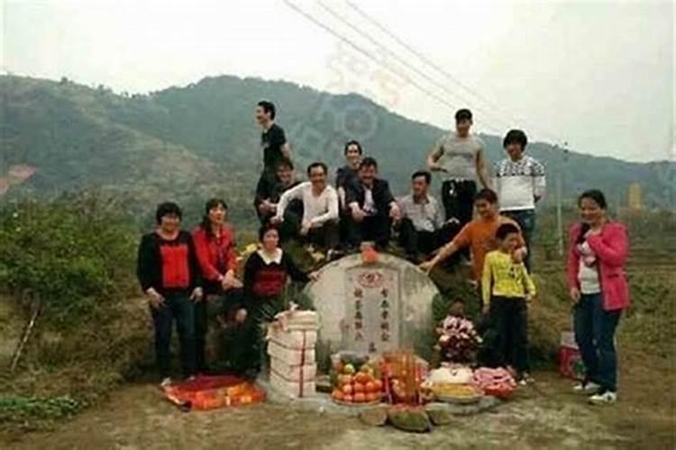 红黑白蛇叫什么