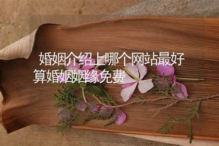 中秋节的传统活动都有哪些 中秋有什么传统活动
