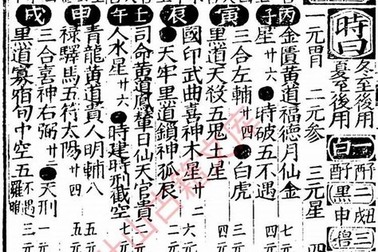 十二时辰命理解析之己亥日柱