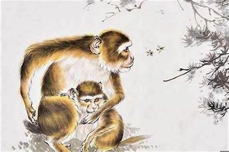1992年属猴是什么命