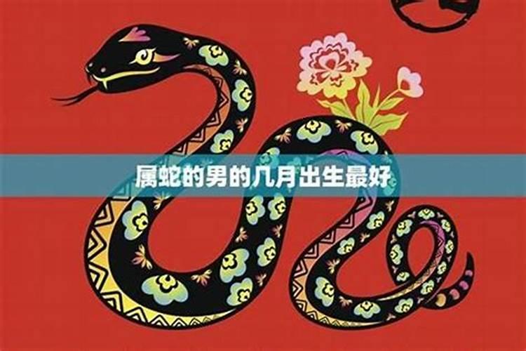 属蛇的几月出生最好属蛇哪日出生是上等之命