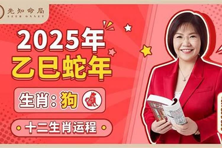 2025年12生肖运势解析完整版