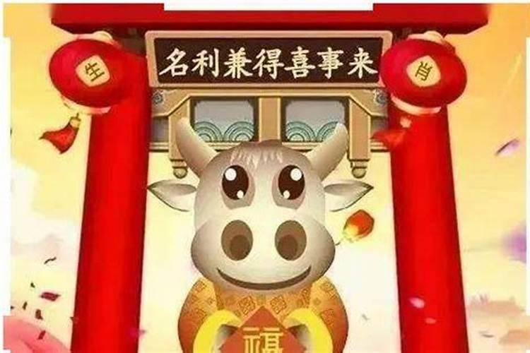 属鸡的人遇蛇年运势如何
