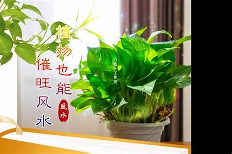 风水十大禁忌