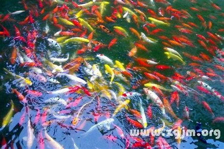 厨房开后门有何禁忌 厨房装修禁忌与堪舆学？