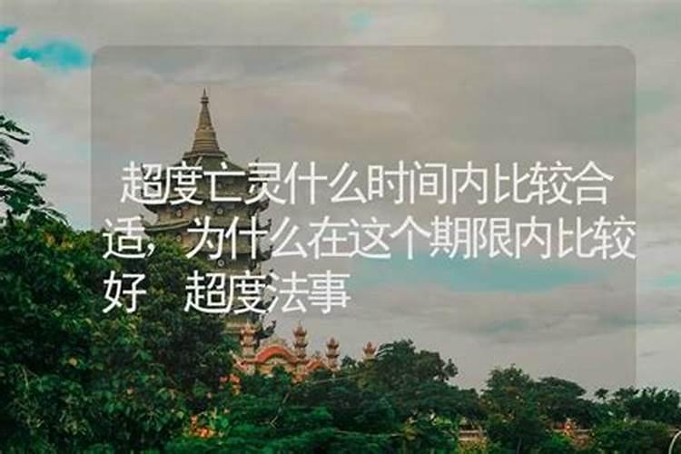 属猪的犯太岁佩戴什么