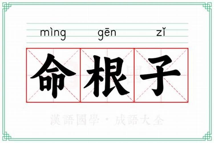 梦见很多年没见面的小学同学的预兆