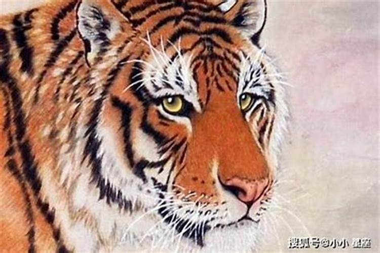 女生十月初一出生好不好