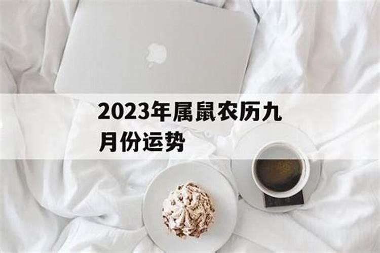 96年九月的鼠命运如何 9月属鼠人不一样时间出世的运势