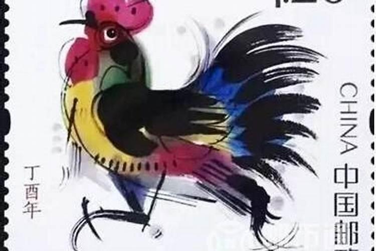属鸡的人的吉祥物