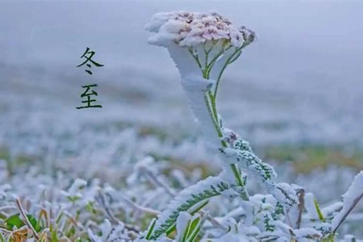2021年冬至前后哪天迁坟好今年冬至什么时候迁坟最好