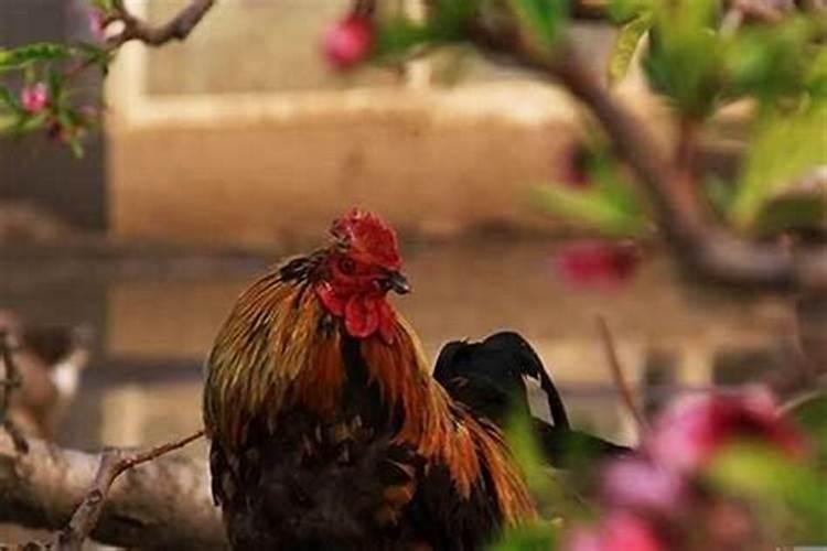正月十五在古代是什么节日