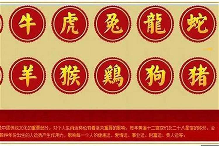 梦见儿子结婚了是什么征兆