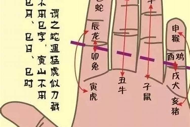 如何看八字命盘排盘,如何看生辰八字