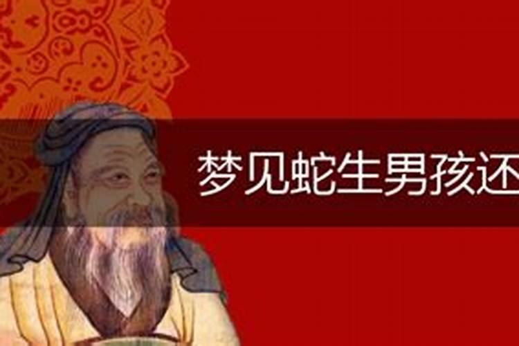 男人梦到蛇预示老婆怀孕
